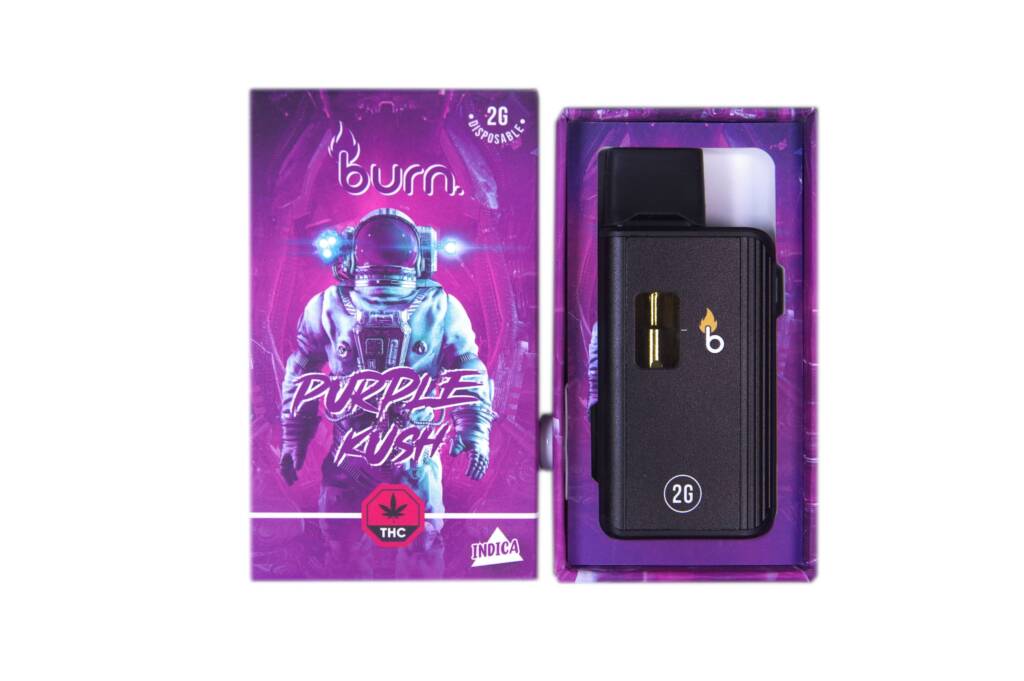 Burn Vape Pen – 2mL