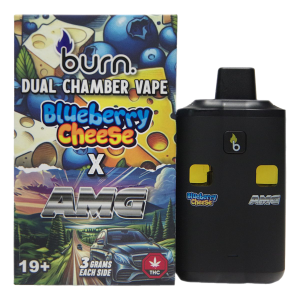 Burn 6g Dual Flavour Disposable Vape - Blueberry Cheese x AMG