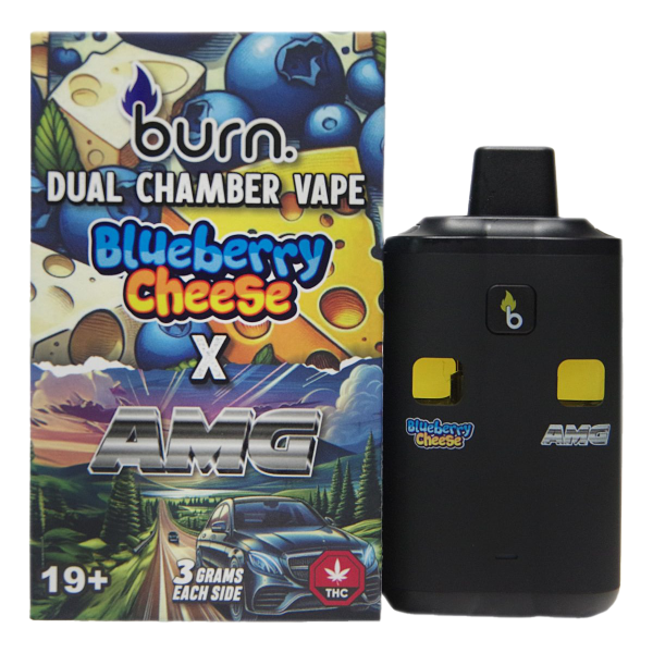 Burn 6g Dual Flavour Disposable Vape - Blueberry Cheese x AMG