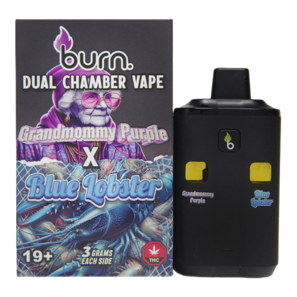 Burn 6g Dual Flavour Disposable Vape - Grandmommy Purp x Blue Lobster