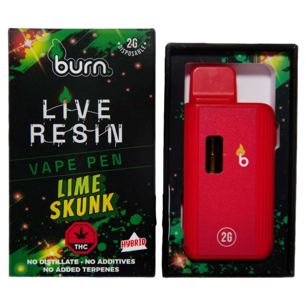 Burn 2g Live Resin Disposable Vape - Lime Skunk